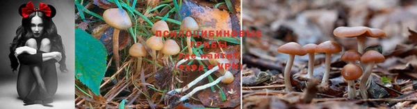 MESCALINE Всеволожск