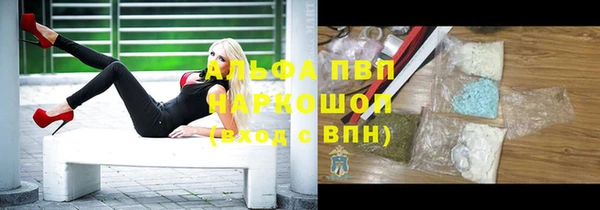 ПСИЛОЦИБИНОВЫЕ ГРИБЫ Заволжье