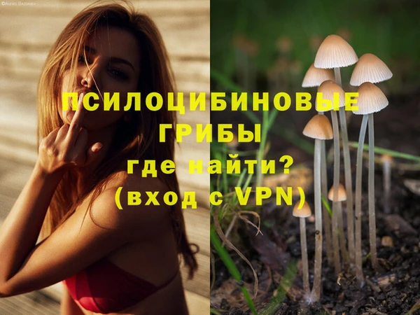 крисы Остров