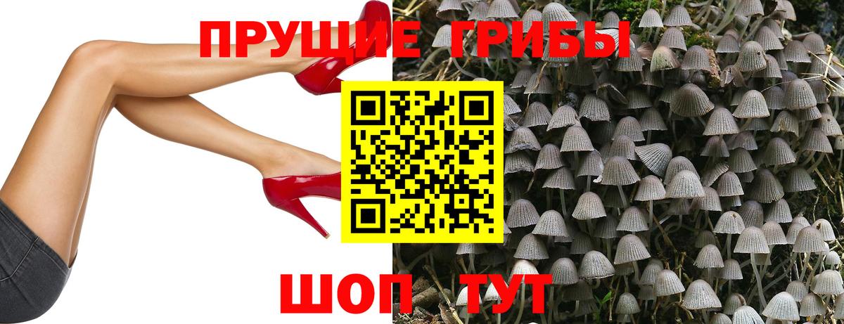наркошоп  Галлюциногенные грибы GOLDEN TEACHER  Вход с VPN  Галлюциногенные грибы Psilocybe  Красноперекопск 