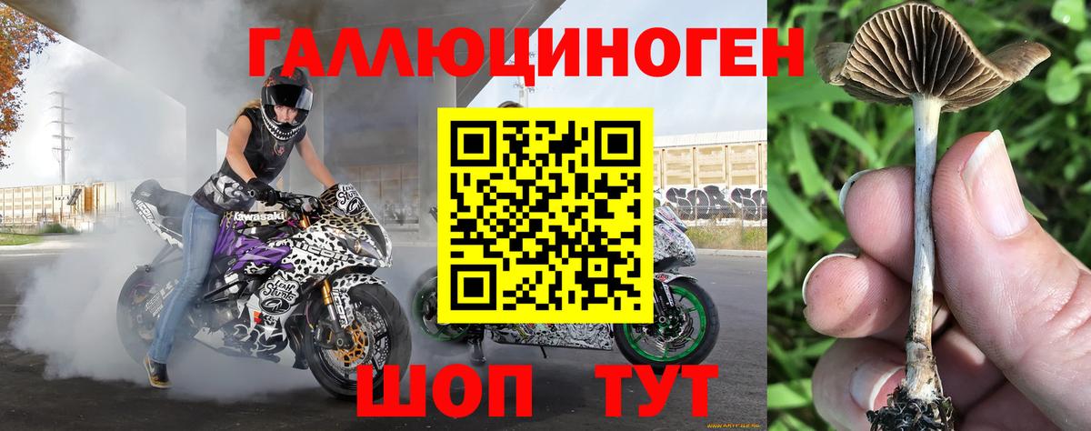 Псилоцибиновые грибы Magic Shrooms  Красноперекопск 