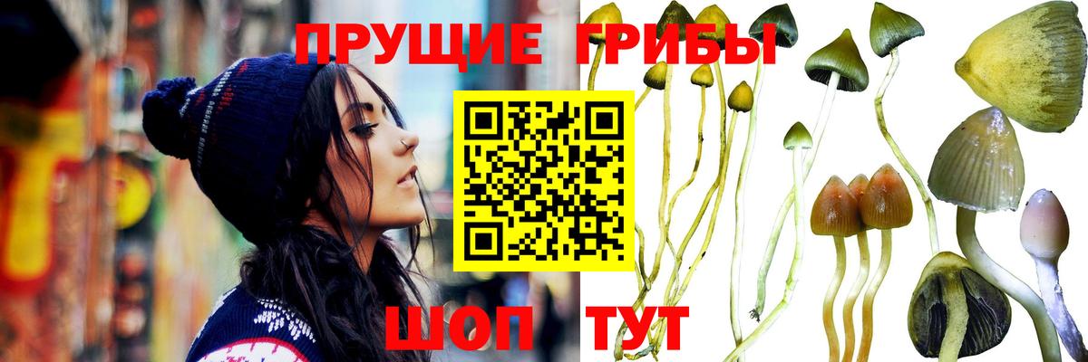 Псилоцибиновые грибы прущие грибы Красноперекопск
