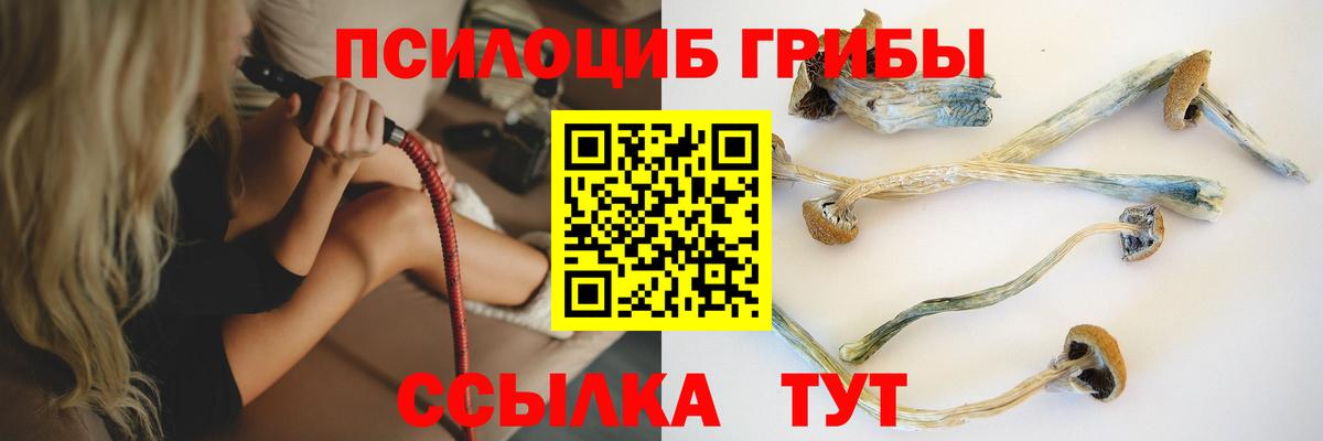 Галлюциногенные грибы прущие грибы Красноперекопск